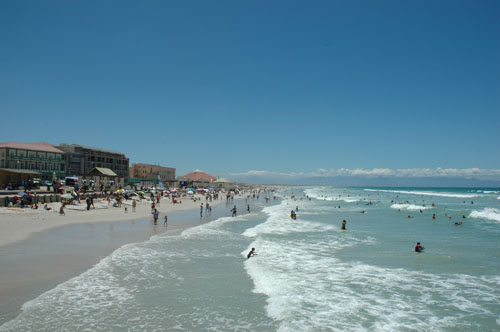 Muizenberg 'Sea Life'