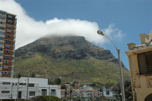 Muizenberg 'Sea Life'